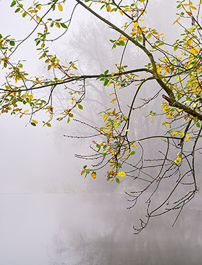 AutumnMagic