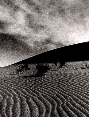 Landscapes