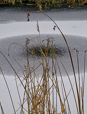 Winterwalk